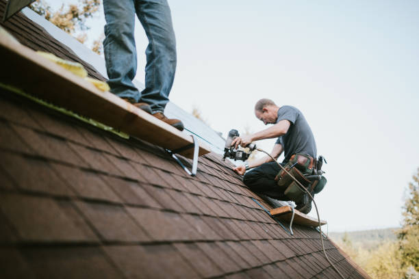 Best Storm Damage Roof Repair  in Edinboro, PA